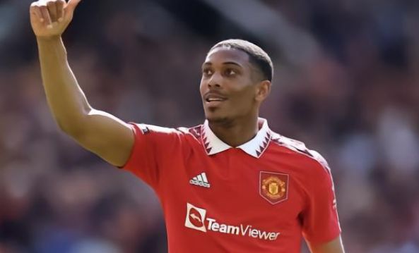 你可能并不 你可能并不